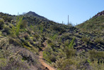 photo thumbnail #6