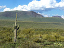 photo thumbnail #9