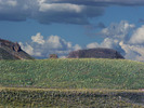 photo thumbnail #10