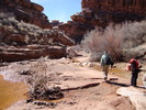 photo thumbnail #10