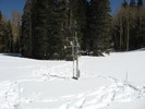 photo thumbnail #3