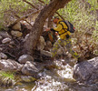 photo thumbnail #6