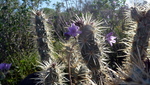 photo thumbnail #5