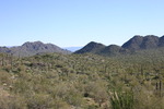 photo thumbnail #6