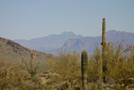 recent photo