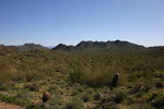 photo thumbnail #3
