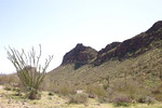 photo thumbnail #13