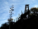 photo thumbnail #11