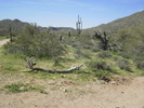 photo thumbnail #1