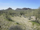 photo thumbnail #5