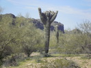 photo thumbnail #6