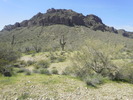 photo thumbnail #7