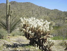 photo thumbnail #8