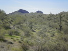 photo thumbnail #9