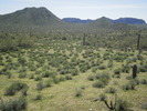 photo thumbnail #13