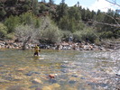 photo thumbnail #5