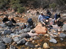 photo thumbnail #8