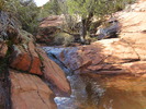 photo thumbnail #12