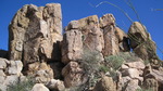 photo thumbnail #2
