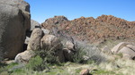 photo thumbnail #7