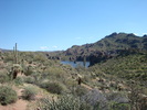 photo thumbnail #13