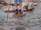 photo thumbnail #8