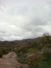 photo thumbnail #10