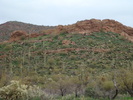 photo thumbnail #11