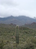 photo thumbnail #15