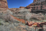 photo thumbnail #8