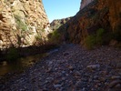 photo thumbnail #15