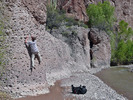 photo thumbnail #3