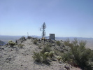 recent photo