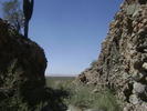 recent photo