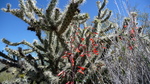 photo thumbnail #10