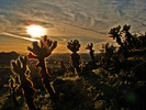 photo thumbnail #1
