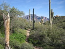 photo thumbnail #3