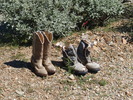 photo thumbnail #4