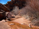 photo thumbnail #10