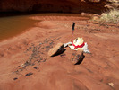 photo thumbnail #11