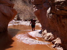 photo thumbnail #13
