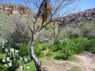 photo thumbnail #6