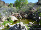 photo thumbnail #7