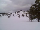 recent photo