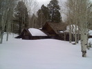 recent photo