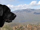 photo thumbnail #12