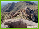 photo thumbnail #10