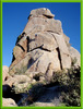 photo thumbnail #13