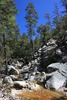 photo thumbnail #5