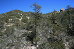 photo thumbnail #8